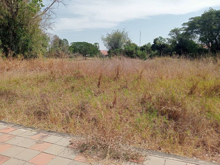บ้านพร้อมที่ดิน รูปที่ 4