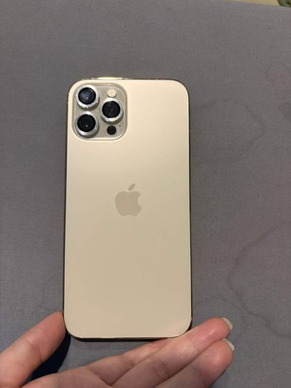 Iphone 12 promax