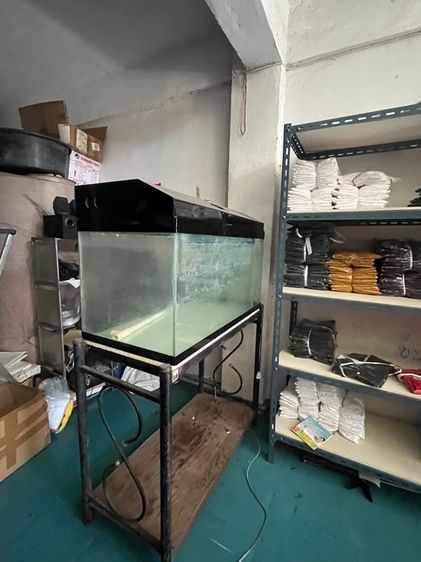 ตู้ปลา รูปที่ 5