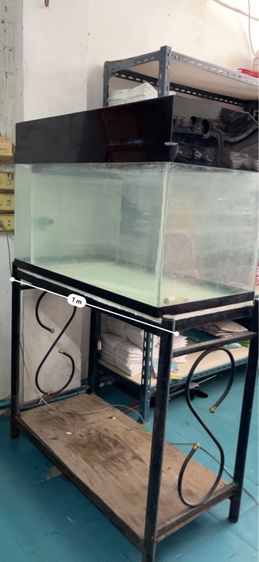 ตู้ปลา รูปที่ 3