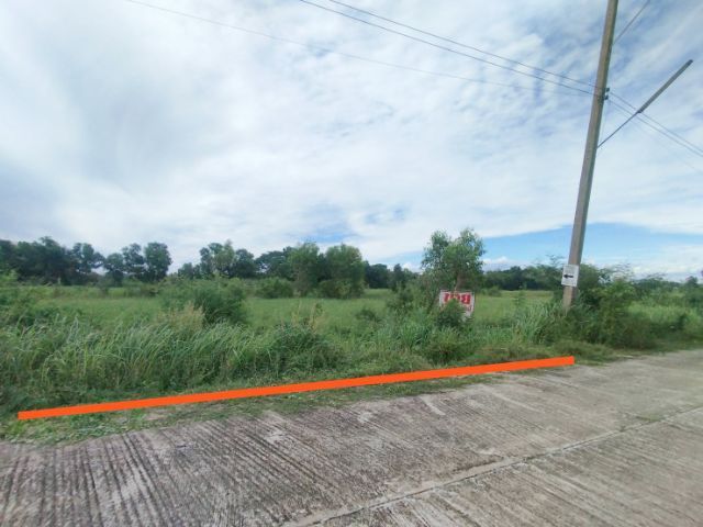 ใช่  ขายที่ดินจัดสรร 100 ตร.ว. คลอง 3-4 คลองหลวง จ.ปทุมธานี  รูปที่ 2
