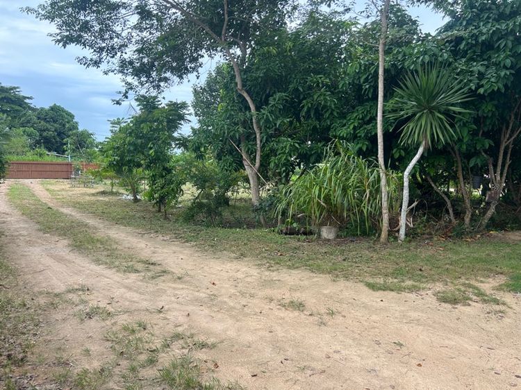 มีบางส่วน 2018 บ้านเดี่ยว พร้อมที่ดิน 1ไร่ ต.ห้วยใหญ่ รูปที่ 2