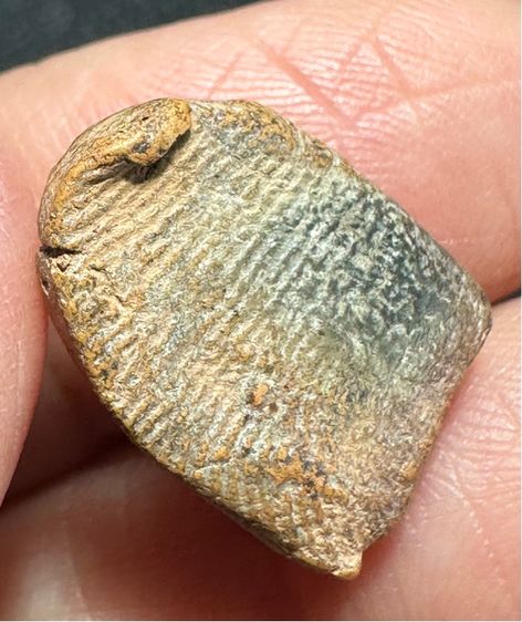 องค์ละ1000🙏พระกำแพงซุ้มกอ เนื้อเขียวมอย🙏พระกำแพงซุ้มกอพิมพ์จิ๋ว🙏พระกำแพงซุ้มกอขนมเปี๊ยะ รูปที่ 11