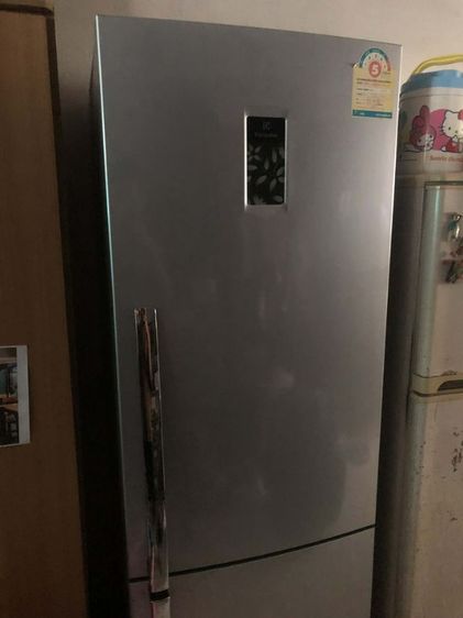 ตู้เย็น 2 ประตู ตู้เย็น electrolux 12 คิว
