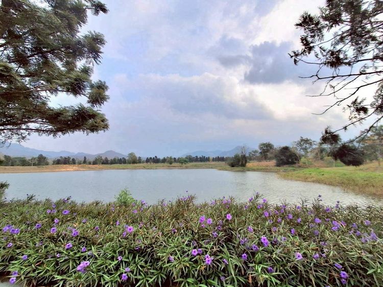 ขายที่ดินเปล่า Pirom At Vineyard เขาใหญ่ ภิรมย์ แอท วินยาร์ด