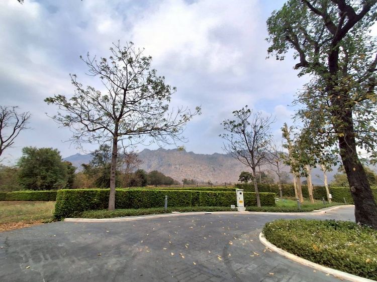 ขายที่ดินเปล่า Pirom At Vineyard เขาใหญ่ ภิรมย์ แอท วินยาร์ด รูปที่ 2