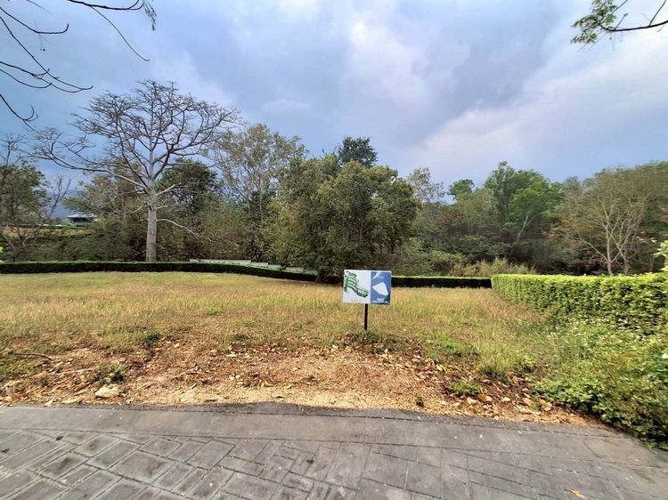 ขายที่ดินเปล่า Pirom At Vineyard เขาใหญ่ ภิรมย์ แอท วินยาร์ด รูปที่ 3