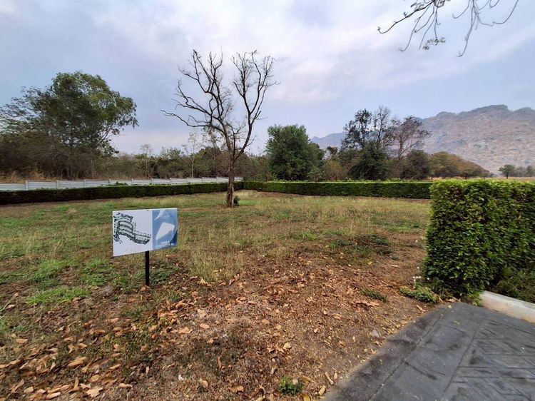 ขายที่ดินเปล่า Pirom At Vineyard เขาใหญ่ ภิรมย์ แอท วินยาร์ด รูปที่ 4