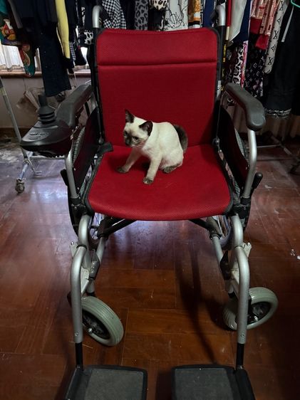 วิลแชร์ไฟฟ้า