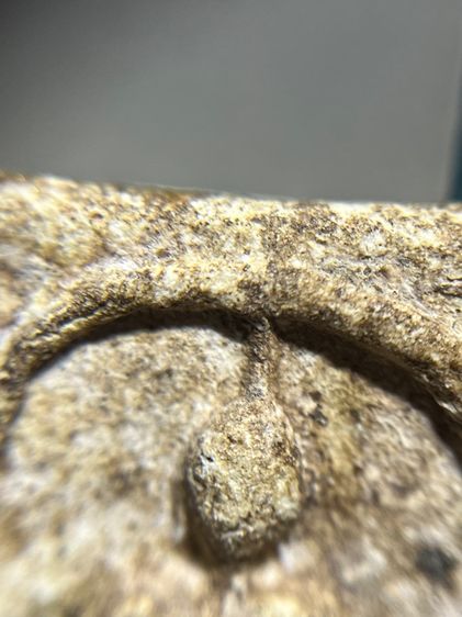 วัดระฆังพิมพ์ใหญ่ รูปที่ 12