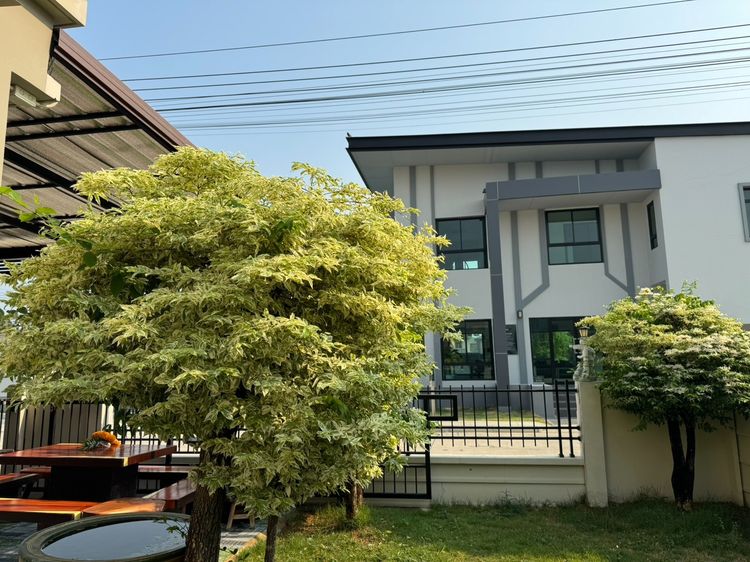 Pruksa มีบางส่วน 2024 ขายบ้านเดี่ยว 2 ชั้น ทำเลดีที่สุดในโครงการ หน้า Clubhouse หลังเดียวเท่านั้น  รูปที่ 4