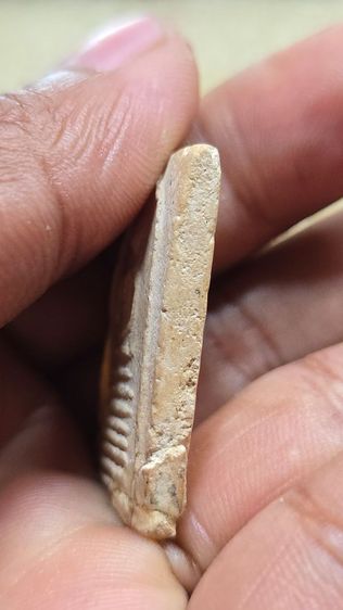 พระสมเด็จหลวงปู่ภู วัดอินทรทาราม พิมพ์ 7 ชั้นหูติ่ง รูปที่ 4