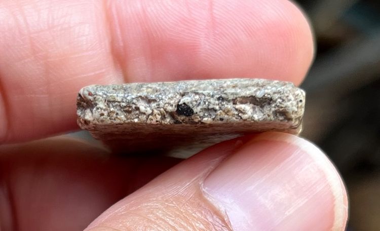 พระสมเด็จ รูปที่ 4