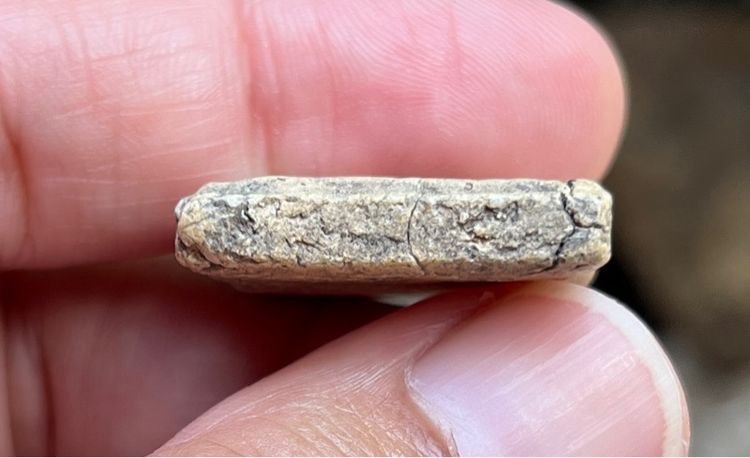 พระสมเด็จ รูปที่ 4