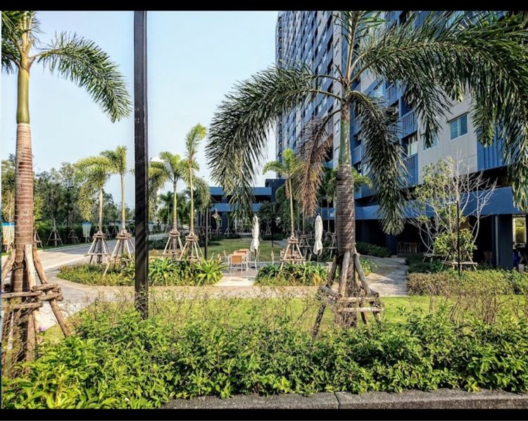 มีบางส่วน ให้เช่าคอนโดลุมพินีซีวิวชะอำ รูปที่ 2