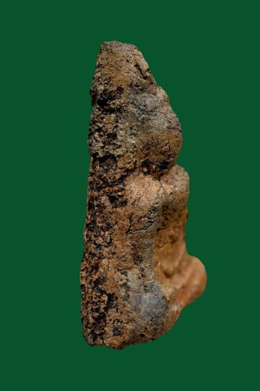 พระนางพญา รูปที่ 3