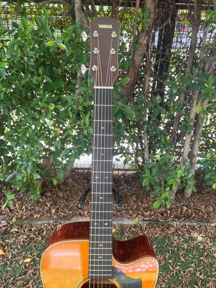 Guitar Yamaha A5M พร้อมเคส ตัวท้อป Made in Japan รูปที่ 6