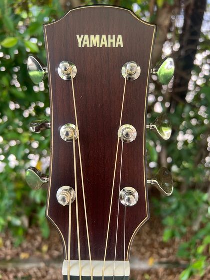 Guitar Yamaha A5M พร้อมเคส ตัวท้อป Made in Japan รูปที่ 7