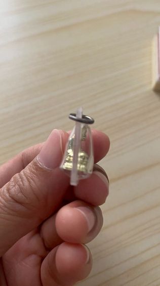 จี้พระหลวงปู่ทวด รูปที่ 6