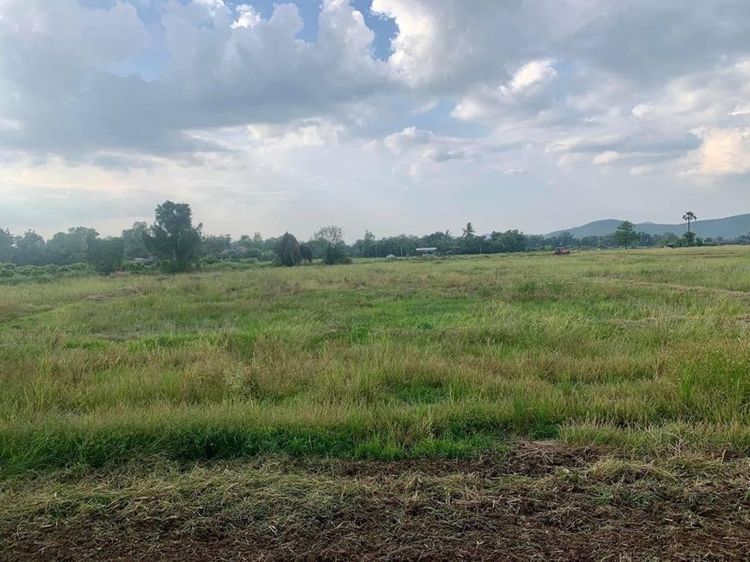 ที่ดิน 🎉 15ไร่ 37ตรว. จากที่ว่าการอำเภอดอยสะเก็ด 9 km รูปที่ 3