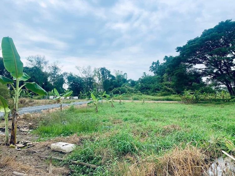 ใช่ ที่ดินกลางเมืองหลังเมกะโฮมซุปเปอร์ไฮเวย์เชียงใหม่ รูปที่ 3