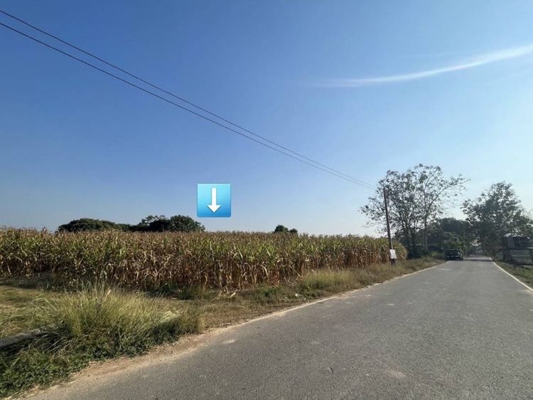 ใช่ ที่ดิน 12 ไร่ครึ่ง ในชุมชนเวียงสา น่าน  รูปที่ 2