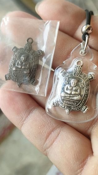 เต่าเงิน