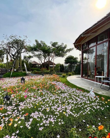 ร้านอาหาร รูปที่ 11