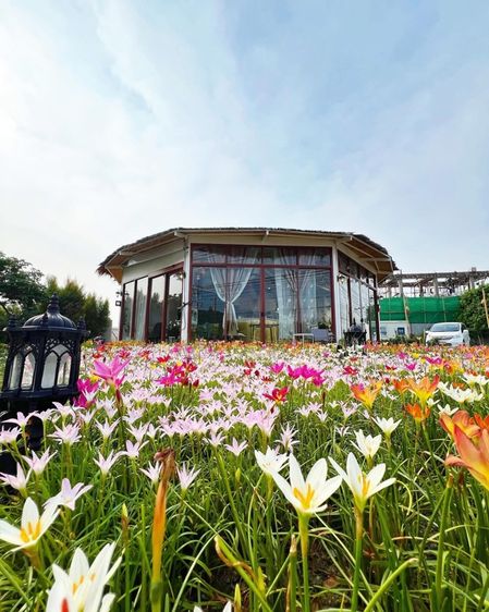 ร้านอาหาร รูปที่ 9