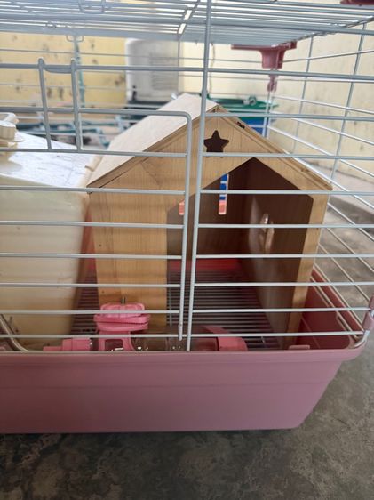ขายอุปกรณ์สัตว์เลี้ยงพร้อมกรง รูปที่ 2