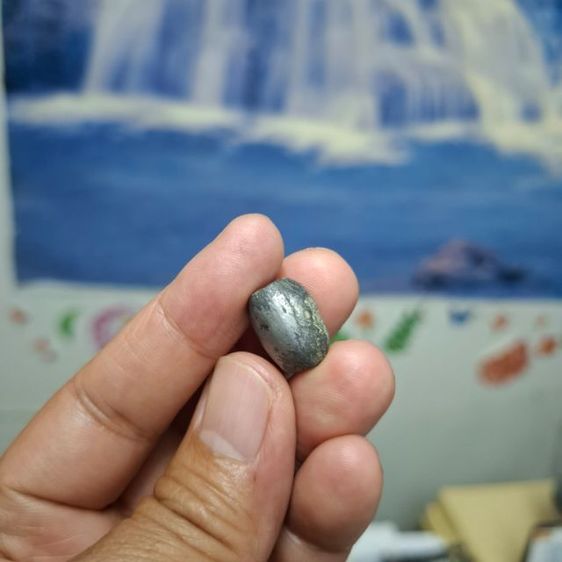 ลูกสะกดหลวง่อเนียม เนื้อชิน รูปที่ 4