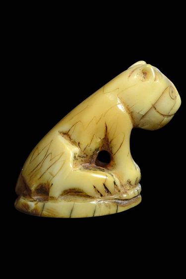 เสือหลวงพ่อปาน รูปที่ 3