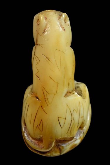 เสือหลวงพ่อปาน รูปที่ 4