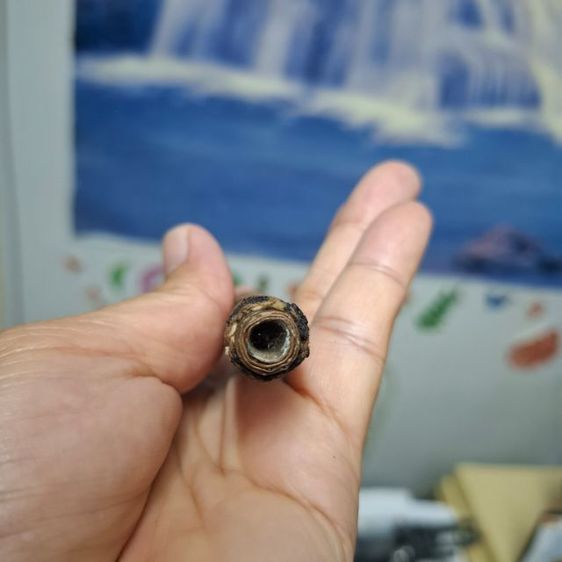 ตะกรุดหลวงพ่อทบยุคต้น ถักเชือกลงรัก สภาพรักหลุดร่อนตามเวลาแต่ตะกรุดสภาพยังดีเดิมๆครับ รูปที่ 9