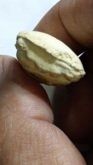 หลวงปู่เผือก วัดกิ่งแก้ว พิมพ์ขุดสระใหญ่ ตามภาพ รูปที่ 7