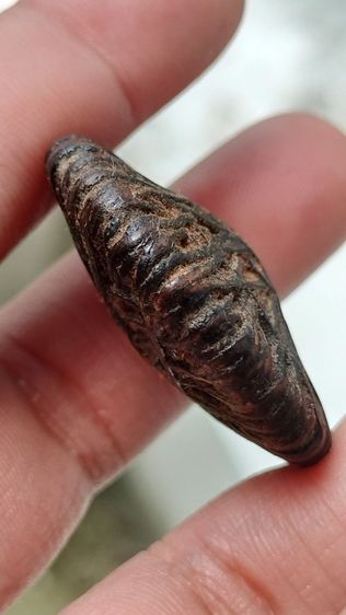 ตะกรุดอีแปะ หลวงปู่อินทร์ วัดไทรม้าใต้ จ.นนทบุรี รูปที่ 2