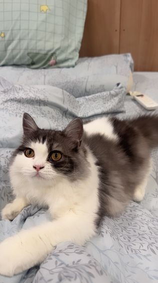 เด็กหญิงหนอนบุ้งวัย 5 เดือน  น้องขี้อ้อนมากกกกกก รูปที่ 4