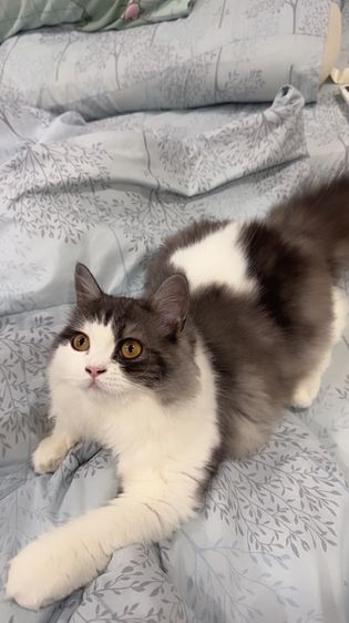 เด็กหญิงหนอนบุ้งวัย 5 เดือน  น้องขี้อ้อนมากกกกกก รูปที่ 3