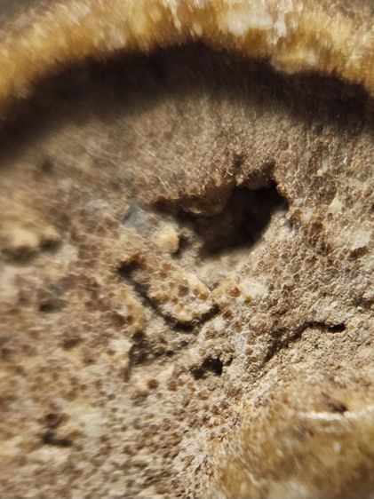 พระสมเด็จมีหักตามรูป รูปที่ 4