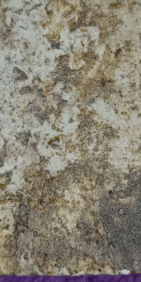 พระสมเด็จวัดระฆัง รูปที่ 8