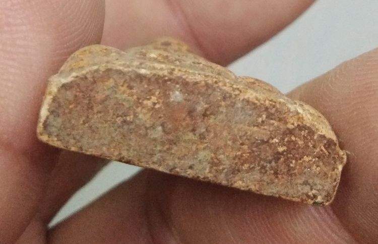 3074-พระสมเด็จนางพญานั่งฐาน หลังยันต์ เนื้อดินเก่า ไม่ทราบที่ รูปที่ 11