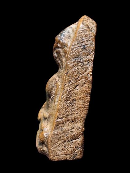 พระผงสุพรรณ รูปที่ 10