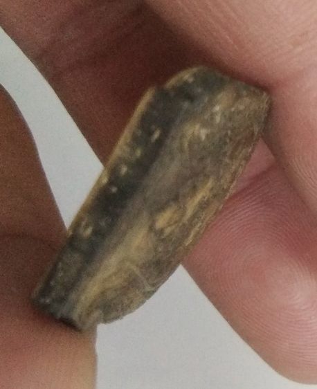 3076-กะละแกะพระราหู ไม่ทราบที่ รูปที่ 18