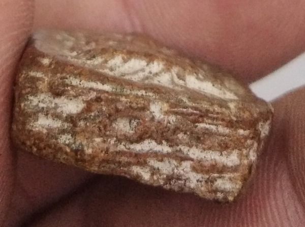 3087-พระหลวงพ่อปานขี่เม่น เนื้อดินเก่าอุดผง รูปที่ 9