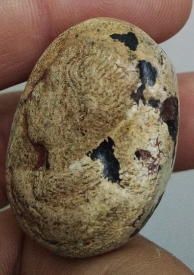 3089-รัชกาลที่ 5 เนื้อผงเก่าหลังครุฑ รูปที่ 15