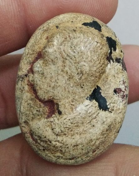 3089-รัชกาลที่ 5 เนื้อผงเก่าหลังครุฑ