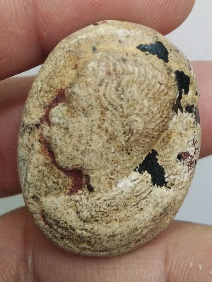 3089-รัชกาลที่ 5 เนื้อผงเก่าหลังครุฑ รูปที่ 4