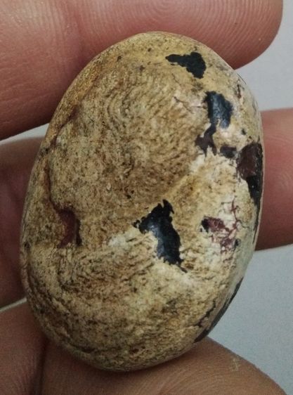 3089-รัชกาลที่ 5 เนื้อผงเก่าหลังครุฑ รูปที่ 16