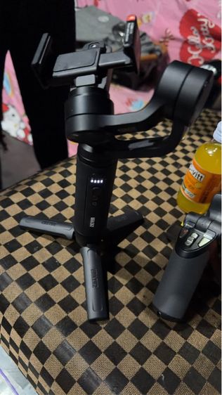 ไม้แฝเชลฟี่