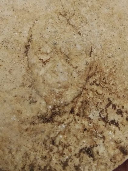 3097-บาตรน้ำมนต์หลวงปู่ทิม วัดละหารไร่เนื้อผงเก่าหลังฝังพลอย ขนาดเส้นผ่าศูนย์กลางประมาณ 5 ซม